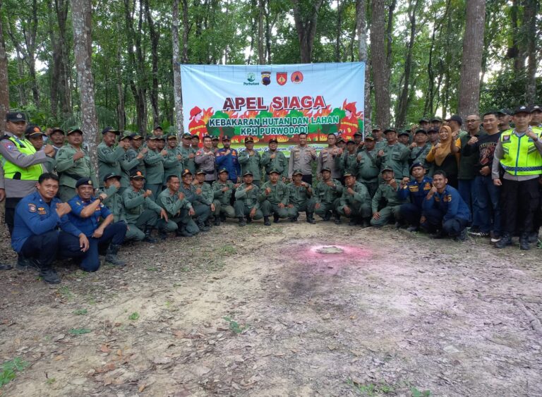 WhatsApp Image 2025-08-03 at 13.34.05