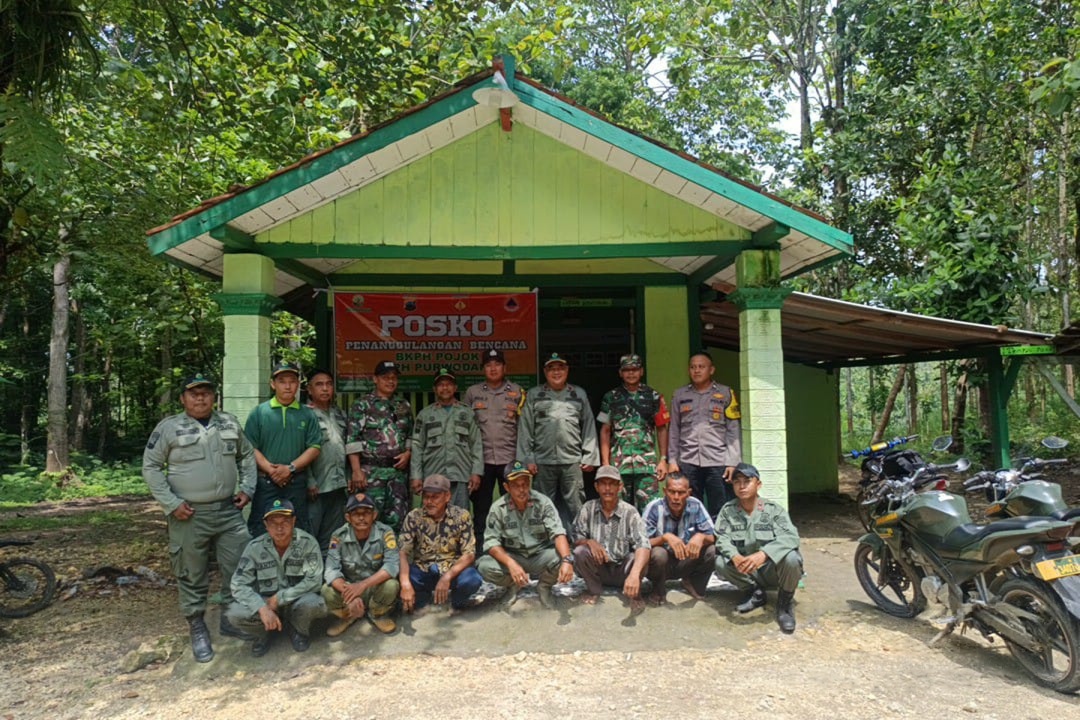 wmremove-transformed11-2