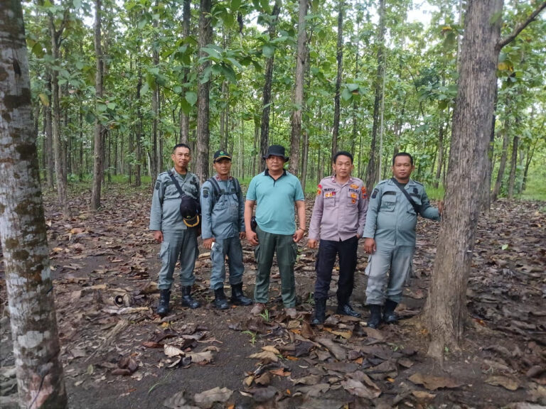 WhatsApp-Image-2025-12-08-at-18.52.111