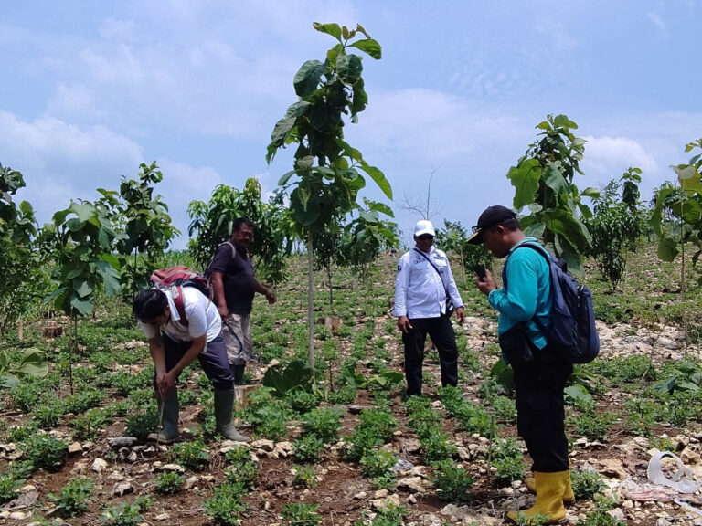 WhatsApp-Image-2025-12-10-at-12.46.101-2