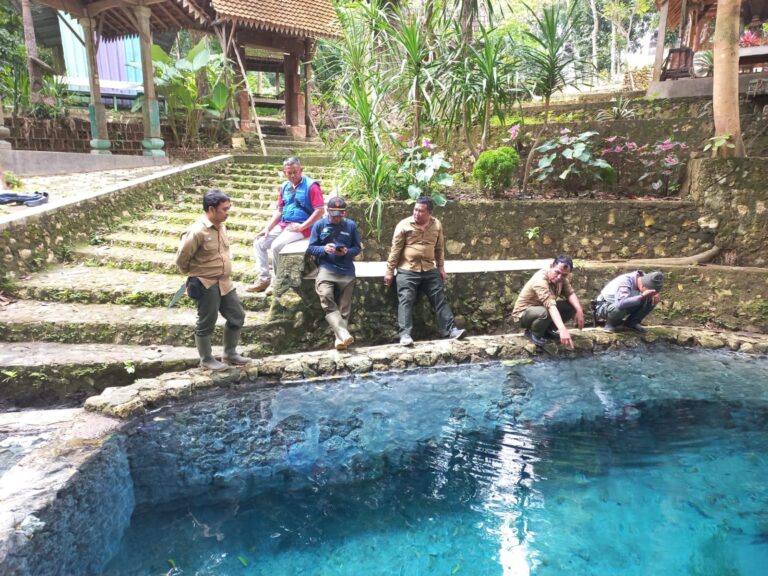 wmremove-transformed9