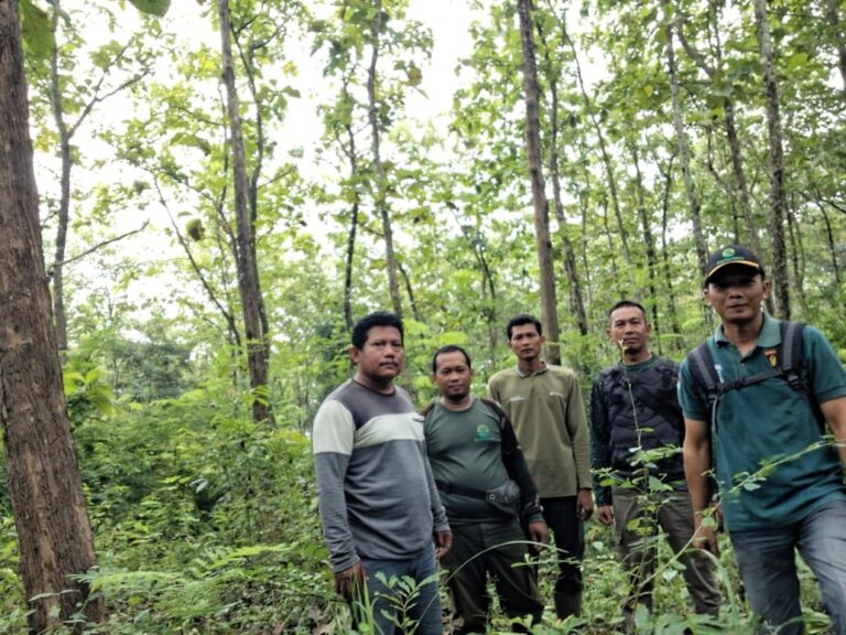 wmremove-transformed29