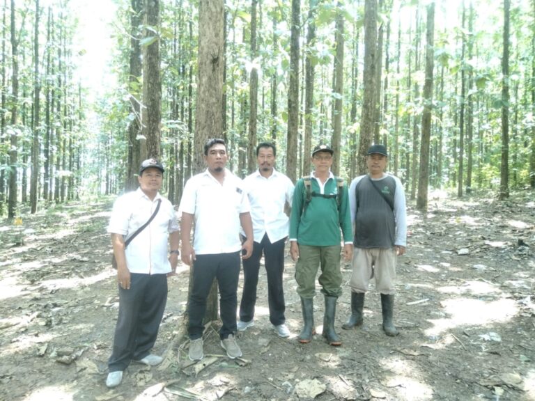 wmremove-transformed1